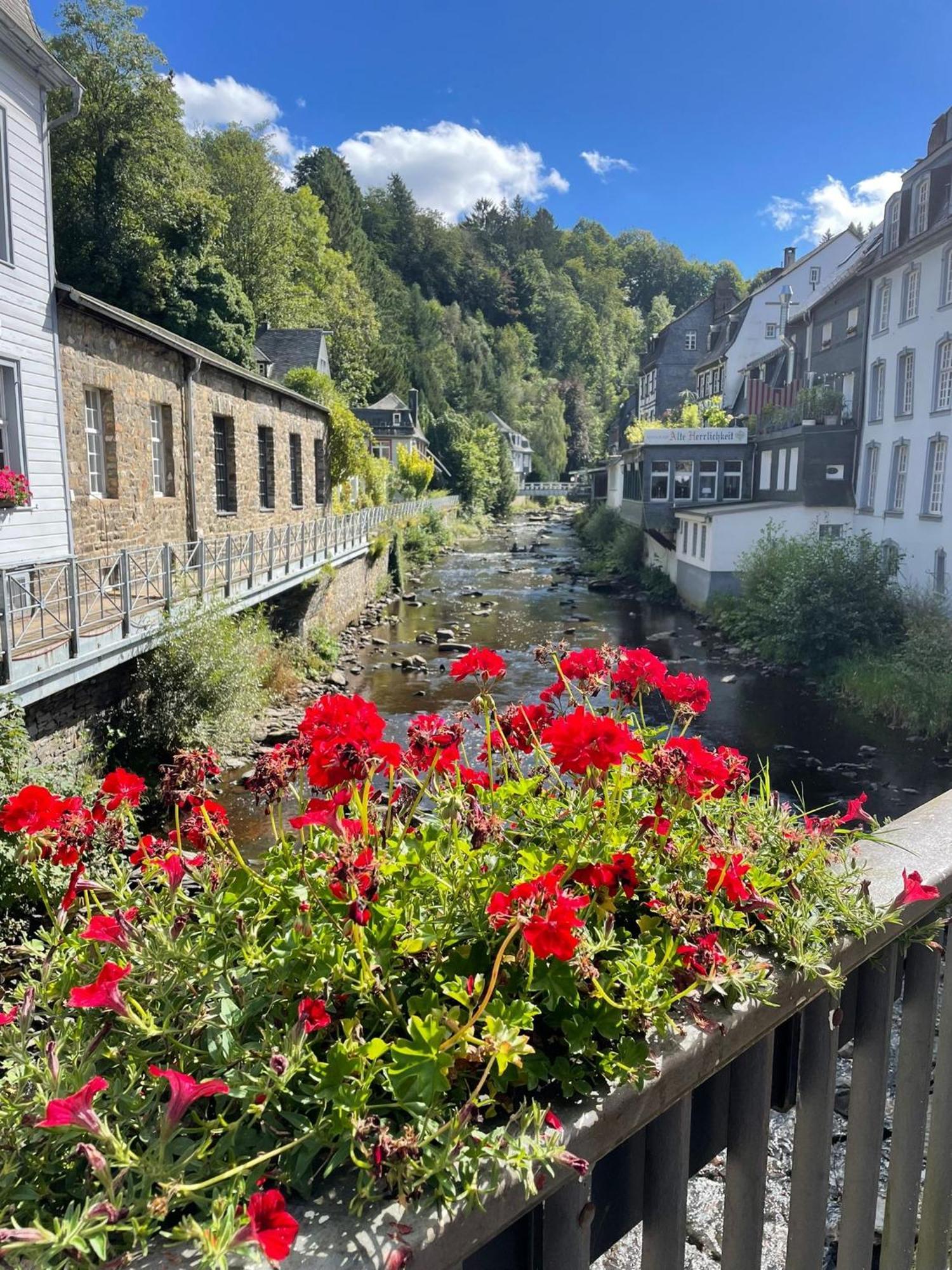 Fewo „Am Alten Eifelhaus“ Lägenhet Monschau Exteriör bild